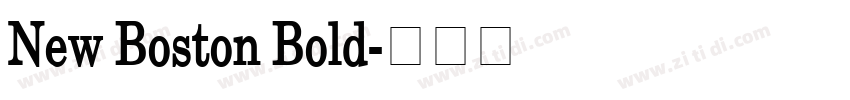 New Boston Bold字体转换